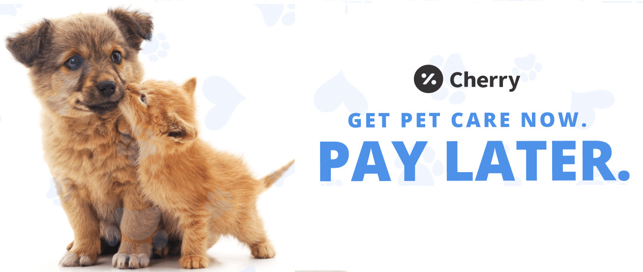 pay later with cherry