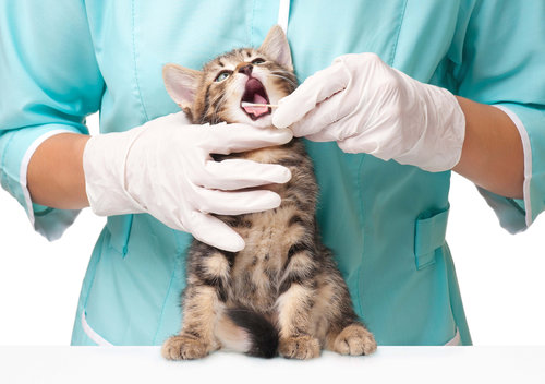 Examination Examination