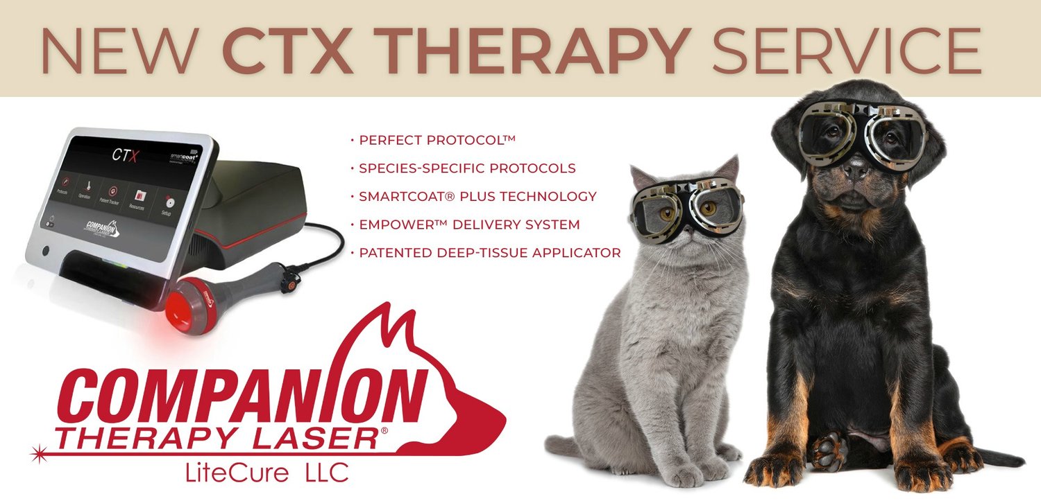 Laser+Therapy