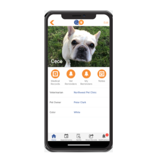 VitusVet App