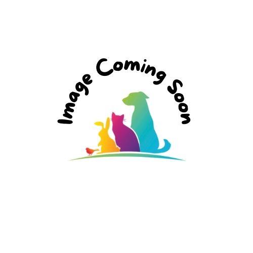 Image Coming Soon